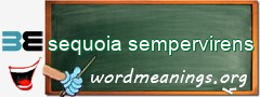 WordMeaning blackboard for sequoia sempervirens